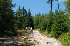 20090801_Samotnia_03