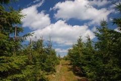 20090815_Bialskie_08