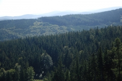 20090926_Borowkowa