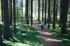 20090926_Borowkowa_04