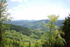 20100605_Andrzejowka_02