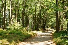 20110904_Wielka_Sowa_02