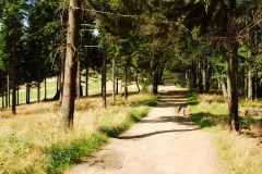20110904_Wielka_Sowa_03