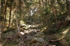 20120428_Bledne_Skaly_05