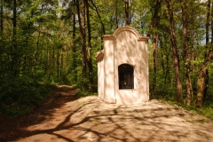 20120505_Sleza