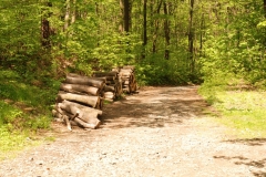 20120505_Sleza_02