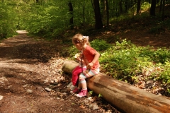20120505_Sleza_03