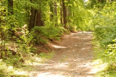 20120505_Sleza_04