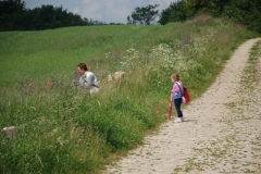 20120607_Gory_Kocie
