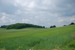 20120607_Gory_Kocie_02