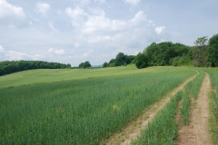 20120607_Gory_Kocie_04