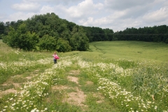 20120607_Gory_Kocie_09