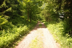 20120623_Ruprechticky_Spicak_02