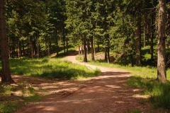 20120623_Ruprechticky_Spicak_21