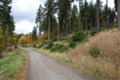 20121014_Kalenica