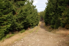 20121014_Kalenica_02