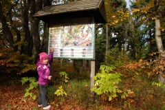 20121014_Kalenica_10