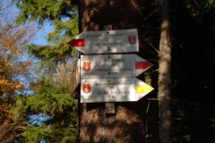 20121014_Kalenica_12