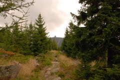 20140830_Jagniatkow_12