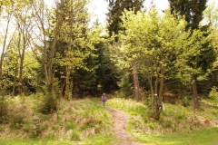 20150517_Waligora_03