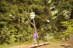 20150517_Waligora_06