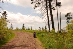 20150517_Waligora_08