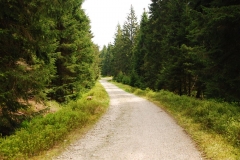 20150523_Izery_06