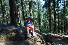 20150722_Diablak_05