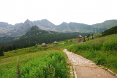 20150723_Murowaniec_18