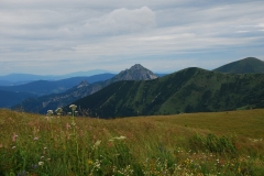 20150727_Mala_Fatra_SK_08