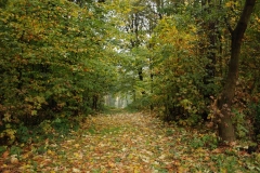 20151017_Chelmiec_02