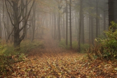 20151017_Chelmiec_03