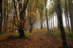 20151017_Chelmiec_04