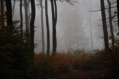 20151017_Chelmiec_05