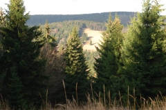 20151114_Kalenica