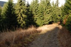 20151114_Kalenica_02