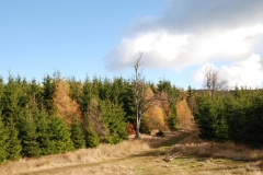 20151114_Kalenica_03
