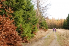 20151114_Kalenica_04