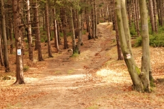 20151114_Kalenica_09
