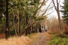 20151114_Kalenica_14