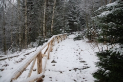 20151126_Samotnia