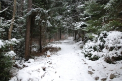 20151126_Samotnia_03