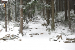 20151126_Samotnia_08