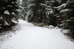 20151126_Samotnia_17