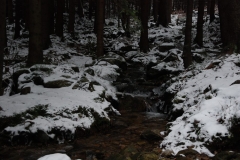 20151126_Samotnia_19