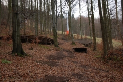20151205_Dzikowiec_02