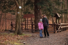 20151212_Stary_Ksiaz_02