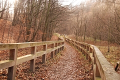 20151212_Stary_Ksiaz_05