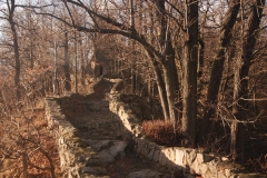 20151212_Stary_Ksiaz_13