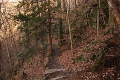 20151212_Stary_Ksiaz_19